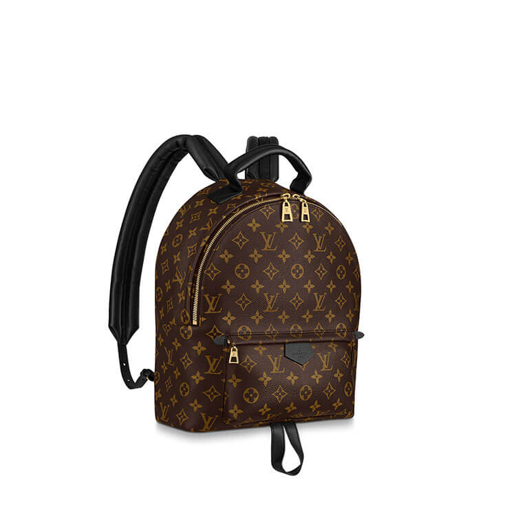 Replica LV Palm Springs MM Backpack M44874 (1)