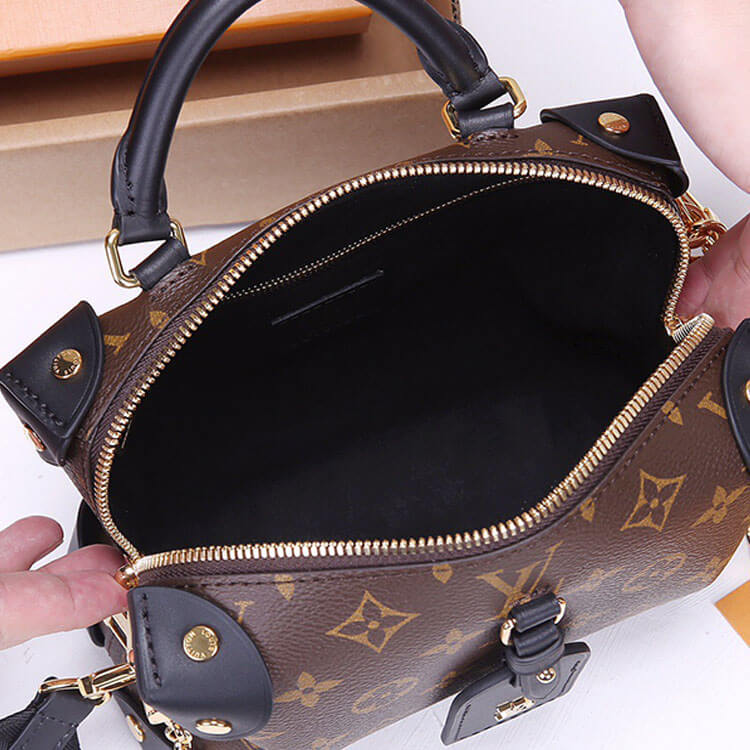 Replica LV Petite Malle Souple Handbag M45571 (6)